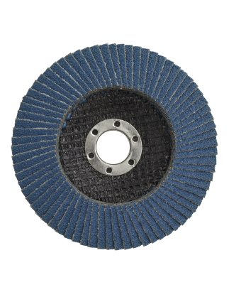 Flap Disc Zirconium Ø100mm Ø16mm Bore 40Grit