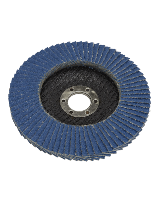 Flap Disc Zirconium Ø100mm Ø16mm Bore 60Grit