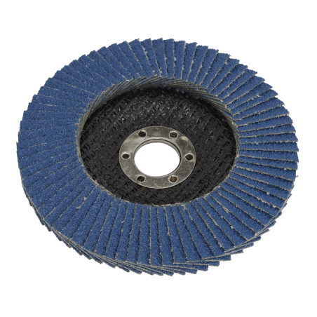 Flap Disc Zirconium Ø100mm Ø16mm Bore 60Grit