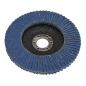 Flap Disc Zirconium Ø100mm Ø16mm Bore 60Grit