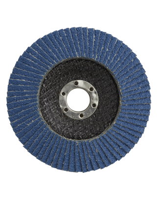 Flap Disc Zirconium Ø100mm Ø16mm Bore 60Grit