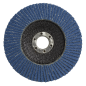 Flap Disc Zirconium Ø100mm Ø16mm Bore 60Grit