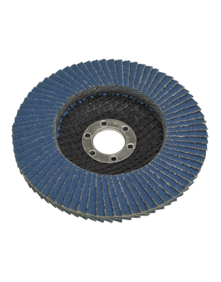 Flap Disc Zirconium Ø100mm Ø16mm Bore 80Grit