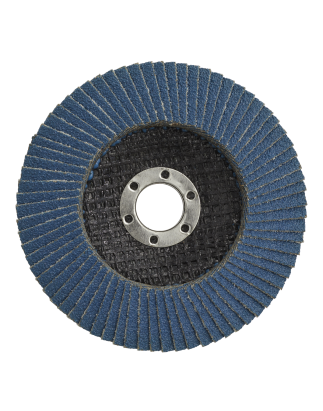 Flap Disc Zirconium Ø100mm Ø16mm Bore 80Grit