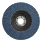 Flap Disc Zirconium Ø100mm Ø16mm Bore 80Grit