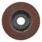 Flap Disc Aluminium Oxide Ø100mm Ø16mm Bore 80Grit