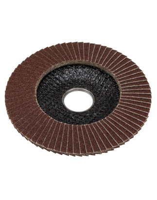 Flap Disc Aluminium Oxide Ø100mm Ø16mm Bore 80Grit