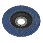 Disques à lamelles Grain 120 Zirconium Ø115mm Alésage Ø22mm - Paquet de 10