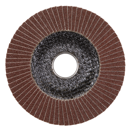 Flap Disc Aluminium Oxide Ø115mm Ø22mm Bore 120Grit