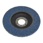 Disque à lamelles Zirconium Ø115mm Ø22mm Alésage 40Grit