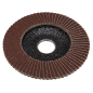 40Grit Flap Discs Aluminium Oxide Ø115mm Ø22mm Bore - Pack of 10