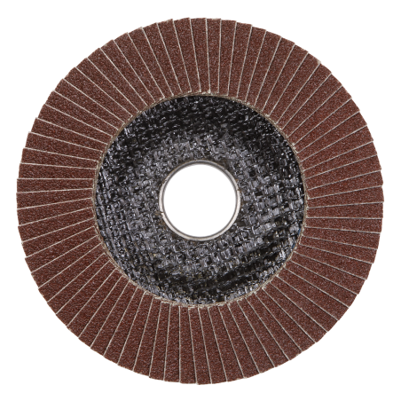 Flap Disc Aluminium Oxide Ø115mm Ø22mm Bore 60Grit