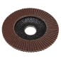 Flap Disc Aluminium Oxide Ø115mm Ø22mm Bore 60Grit