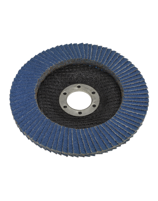 Flap Disc Zirconium Ø125mm Ø22mm Bore 40Grit