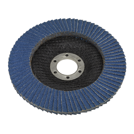 Flap Disc Zirconium Ø125mm Ø22mm Bore 40Grit