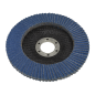 Flap Disc Zirconium Ø125mm Ø22mm Bore 40Grit