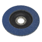 Flap Disc Zirconium Ø125mm Ø22mm Bore 60Grit