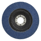 Flap Disc Zirconium Ø125mm Ø22mm Bore 60Grit