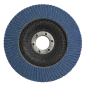 Flap Disc Zirconium Ø125mm Ø22mm Bore 80Grit