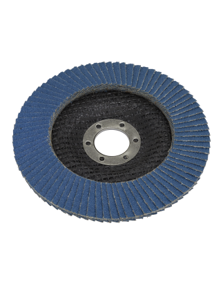 Flap Disc Zirconium Ø125mm Ø22mm Bore 80Grit