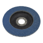 Flap Disc Zirconium Ø125mm Ø22mm Bore 80Grit