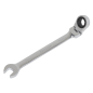 Flexi-Head Ratchet Combination Spanner 10mm