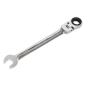 Flexi-Head Ratchet Combination Spanner 13mm