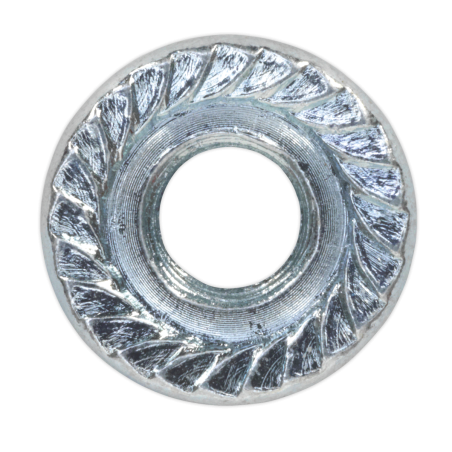 Flange Nut Serrated M6 Zinc Pack of 100