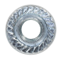 Flange Nut Serrated M6 Zinc Pack of 100