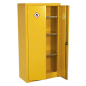 Hazardous Substance Cabinet 900 x 460 x 1800mm