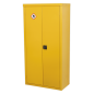 Hazardous Substance Cabinet 900 x 460 x 1800mm