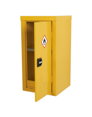 Hazardous Substance Cabinet 460 x 460 x 900mm