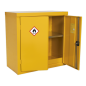 Hazardous Substance Cabinet 900 x 460 x 900mm