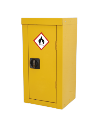 Hazardous Substance Cabinet 350 x 300 x 705mm