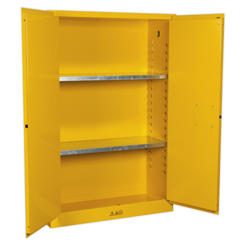 Armoire de stockage pour produits inflammables 1095 x 460 x 1655 mm