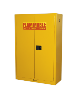 Armoire de stockage pour produits inflammables 1095 x 460 x 1655 mm