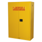 Armoire de stockage pour produits inflammables 1095 x 460 x 1655 mm