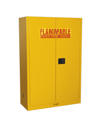 Armoire de stockage pour produits inflammables 1095 x 460 x 1655 mm