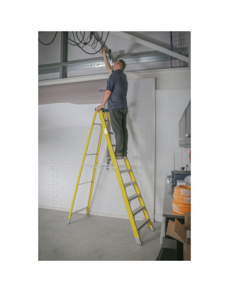 Escabeau en fibre de verre à 9 marches - BS EN 131