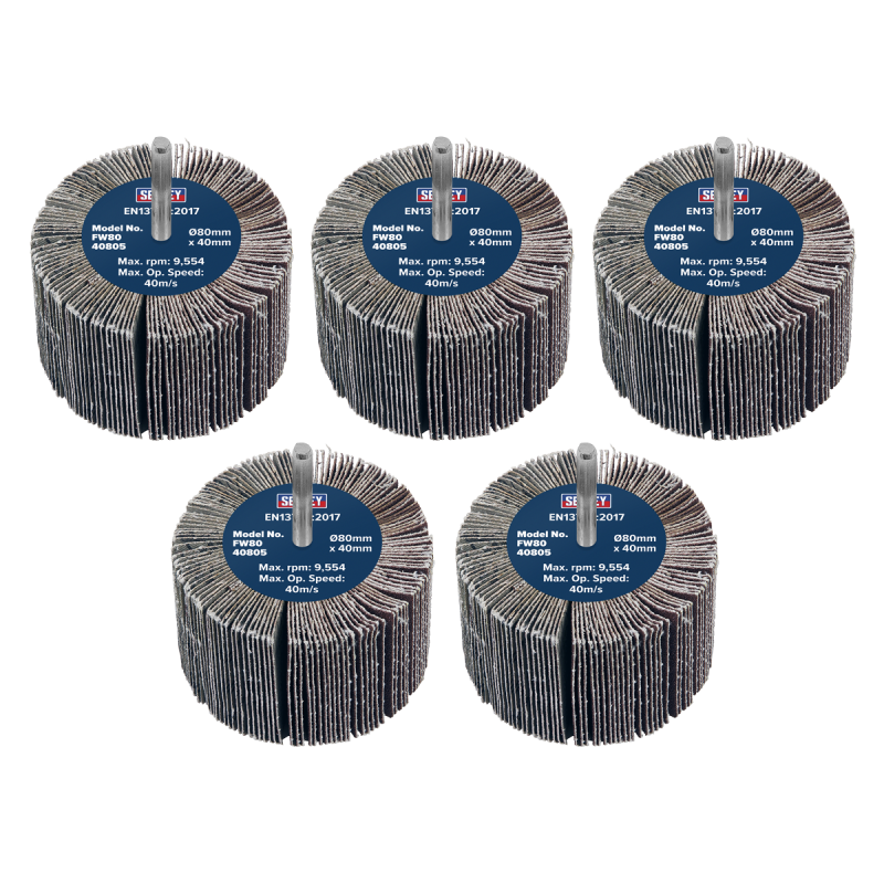 Roue à Lamelles Abrasives Ø80 x 40mm Grain 80 Arbre Ø6mm - Paquet de 5