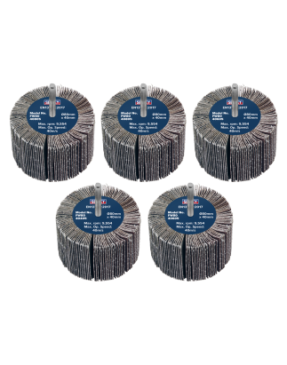 Abrasive Flap Wheel Ø80 x 40mm Ø6mm Shaft Assorted Grit - Pack of 5