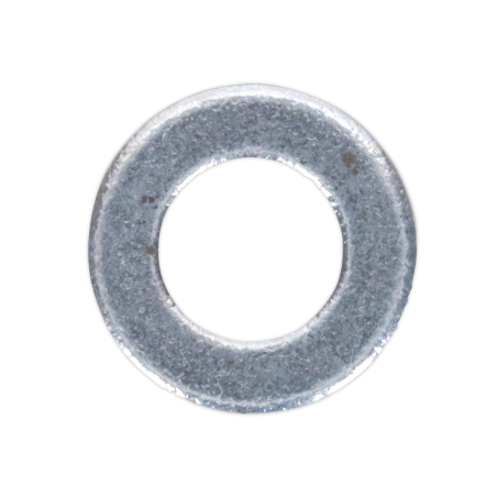 Flat Washer M5 x 12.5mm Form C Pack of 100