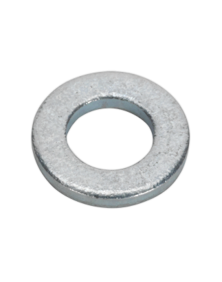 Flat Washer M5 x 12.5mm Form C Pack of 100