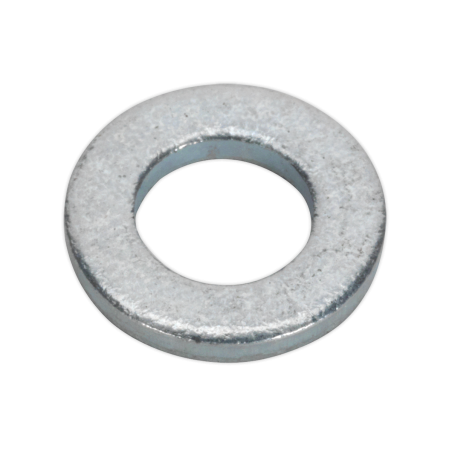 Flat Washer M5 x 12.5mm Form C Pack of 100