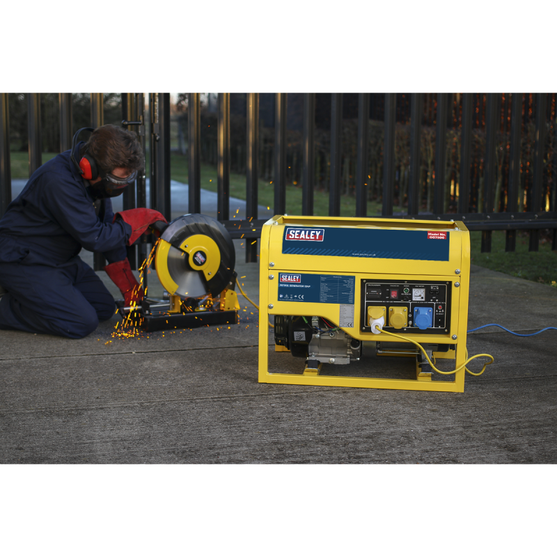 Generator 6000W 110/230V 13hp