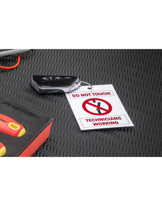 Hybrid/Electric Vehicle Keyring Warning Tag