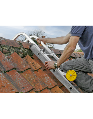 Ladder Roof Hooks