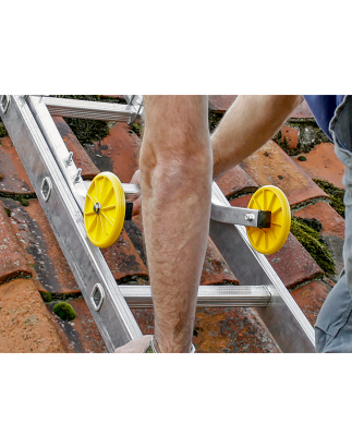 Ladder Roof Hooks