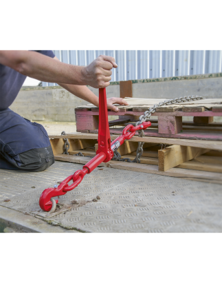 Classeur de charge à cliquet 9,5-12,7 mm, capacité de 4 200 kg