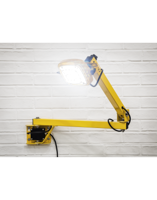 Loading Bay Floodlight 30W SMD LED